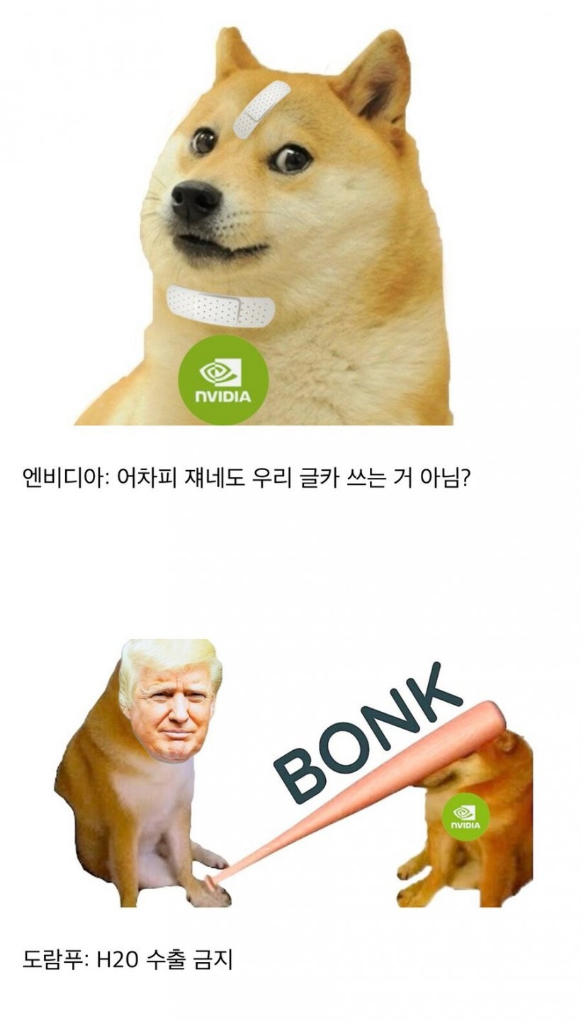 btfd2474dd28e553c7535ffba9cf076101.jpg